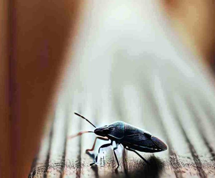 A tiny bug crawling on a leaf, working tirelessly in its tiny world filled with natural wonders.